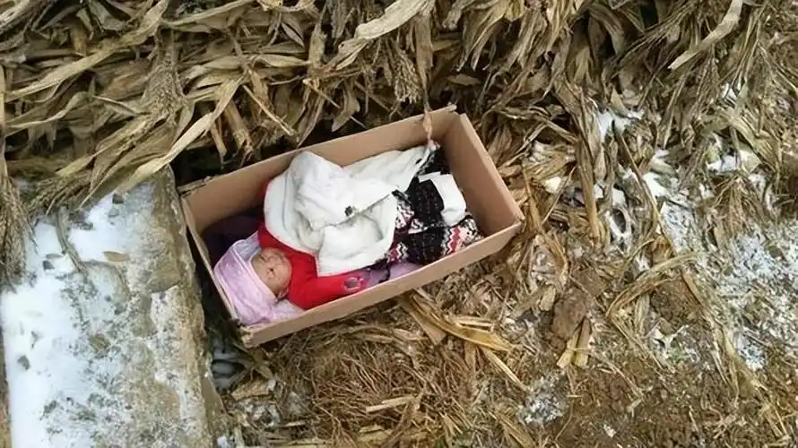 被遗弃的女婴