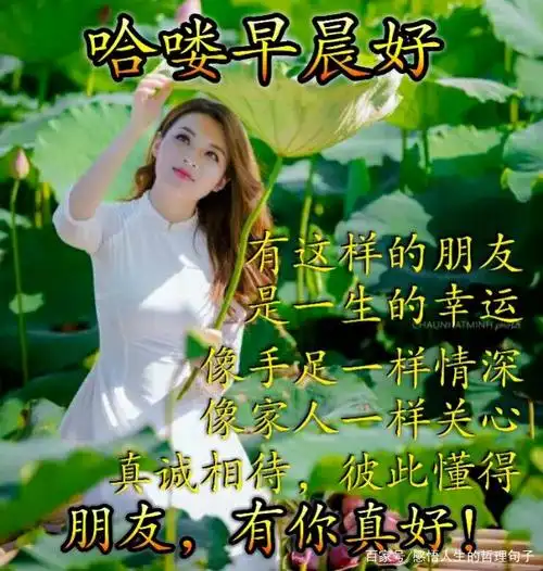 温馨美女早安图片带字带祝福语句