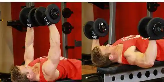 胸肌|肌肉|肘部_网易订阅