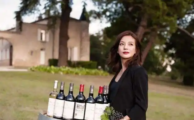 9年前,赵薇花3000万买下法国皇室酒庄,这里每年可以挣多少钱?