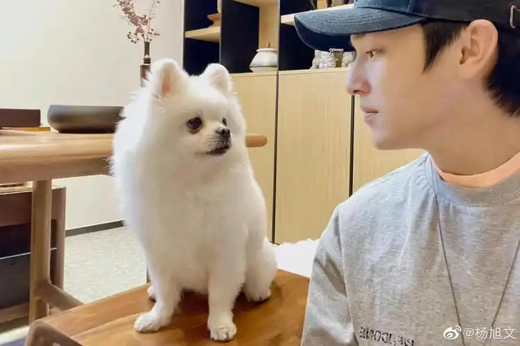 杨旭文每一个你都是我喜欢的样子