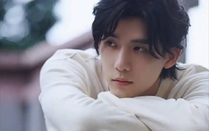 【王安宇】他哪种风格驾驭不了?小说男主有了脸