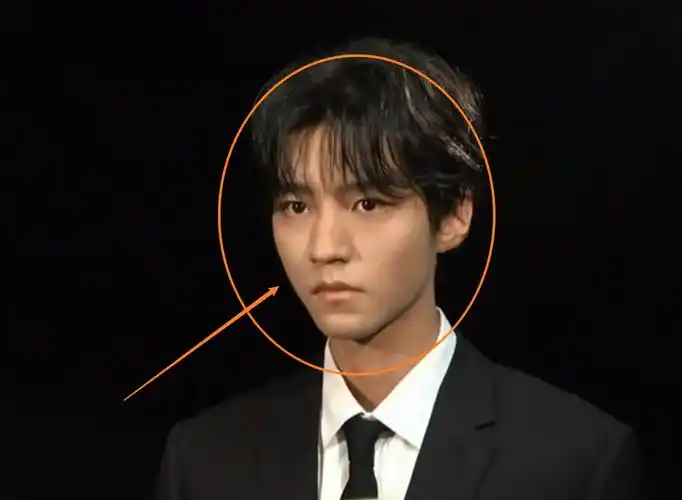 王俊凯脸上有痘痘图片(王俊凯百花奖后台拍摄) - 赤虎壹号