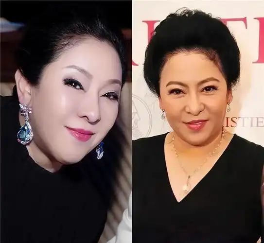 出门都不会穿金戴银,看向太陈岚就知道了|耳环|珠宝|首饰_网易订阅