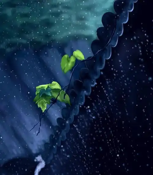 描写雨的诗句有哪些雨天很有意境的古诗