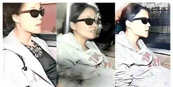 王菲惊艳孕照曝光!肚子大如萝筐,母爱爆棚!惊叹李亚鹏真爱!