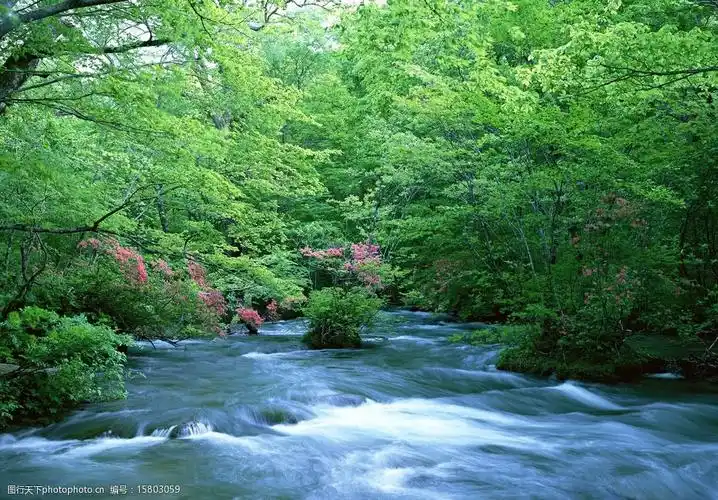 山水瀑布风景绿林图片