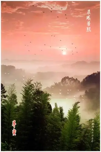 我的(2020)十一月份"早安"问候图片汇集