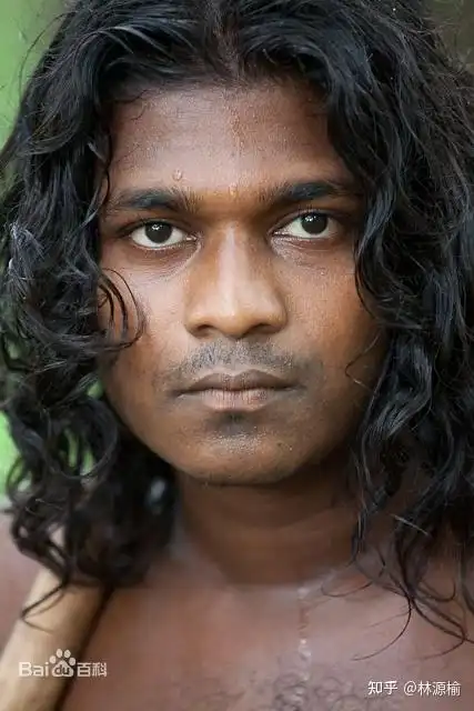 印度达罗毗荼人