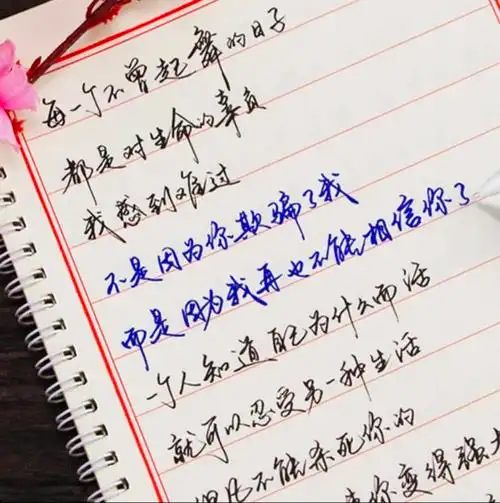 好看的字体手写图片(好看又容易练的字体)-微赚云博客