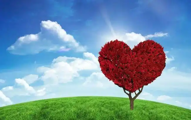 微信早上好经典祝福问候语|友友|早安|心灵相通_网易订阅