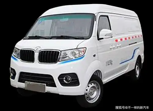 纯电动乘用车,电动货车,电动商务车,帅客货运车,中型面包车,4