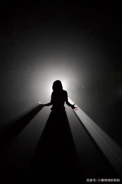 "影子们只好连连点头,乖乖地,垂头丧气地又回到主人身边去了.