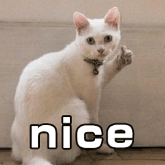 0表情包奈斯表情包gif奈斯表情包老爷爷卑微的表情包牙疼表情包图片