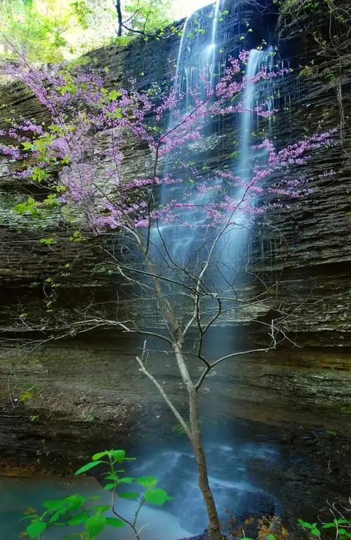 山水花草风景美图宽幅