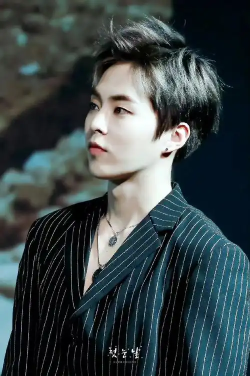 伯贤,chen,xiumin解约,exo即将重演东方神起当年的分裂_活动_公司