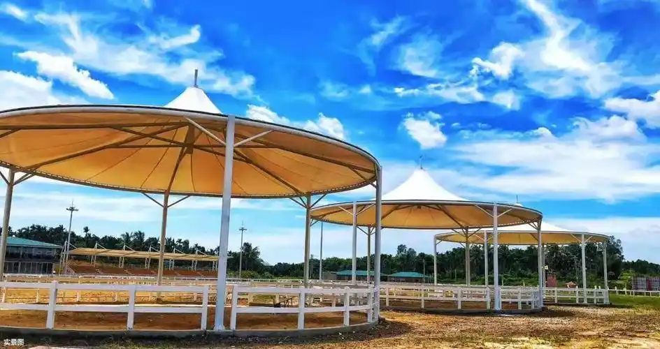 碧桂园东海岸博鳌巨人马术俱乐部开始试运营