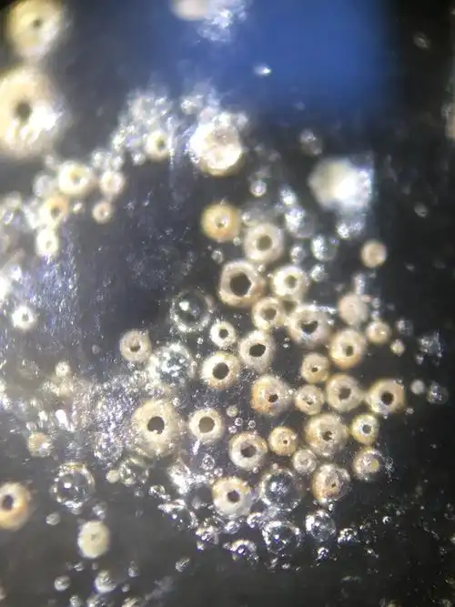 元青花大罐·仅展示特征