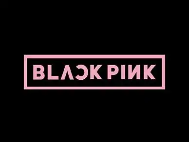 疑似blackpink黑粉留言「是你毁掉2ne1」钓出朴春本人