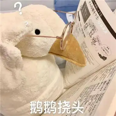 2021超级可爱的憨憨的鹅表情包合辑_微信表情_有个性网