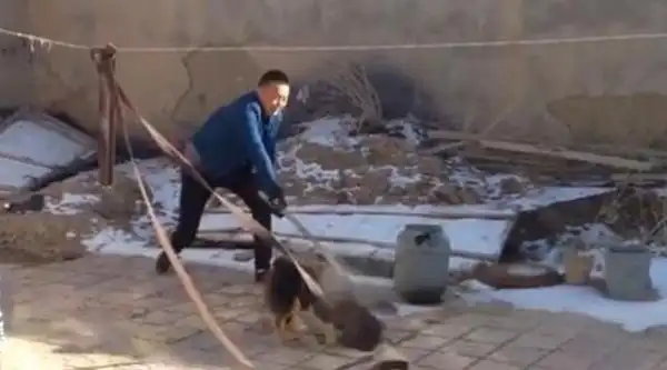 网曝男子铁锨虐狗现场 网友批丧心病狂