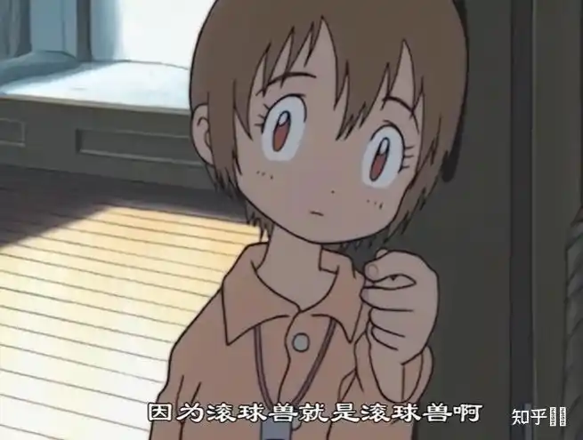 如何评价数码宝贝系列里的八神嘉儿八神光