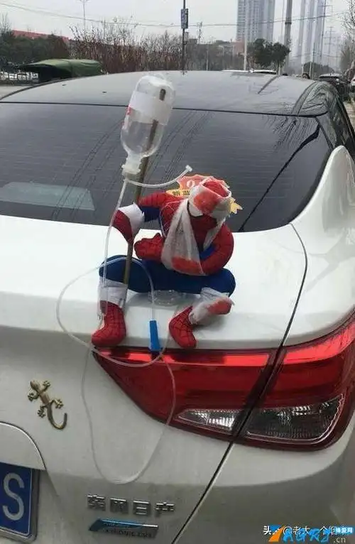 盯五秒会笑的图片(让人一看就笑的图片)