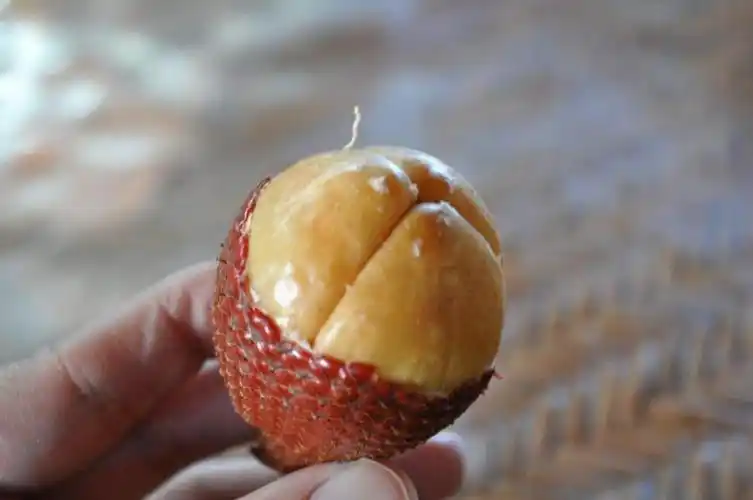 它可能是世上最丑的水果,很多人不敢吃,却被称为"记忆之果"