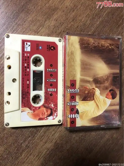 刘德华一生一次