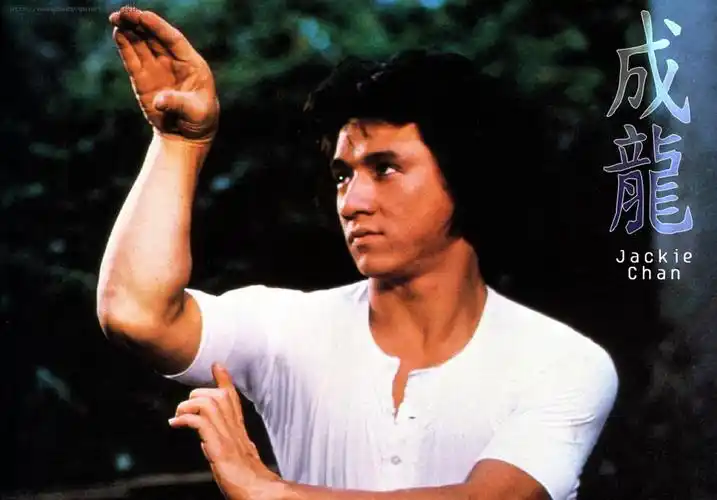 香港电影前十武打明星李小龙只能排第三第一另有其人