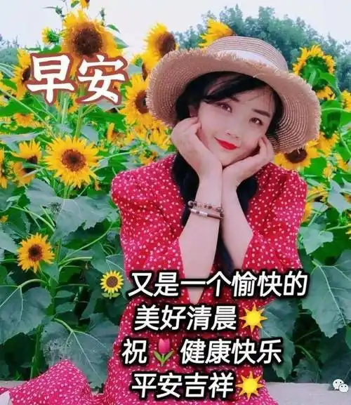 非常漂亮的大家早上好图片大全(建议收藏)_网易订阅