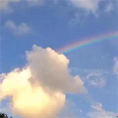 2023年最好运气头像 2023年最吉祥好运的微信头像图片_微信头像_头像