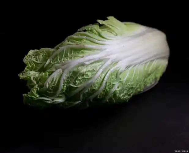 如何炒出鲜嫩又脆爽的白菜