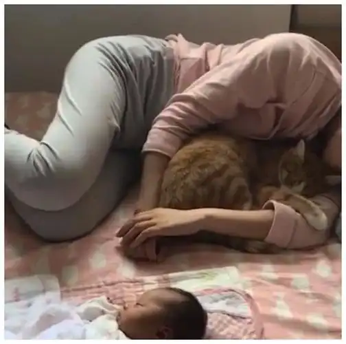 辣妈抱着橘猫午睡,孩子被晾在一边,网友:亲妈无疑
