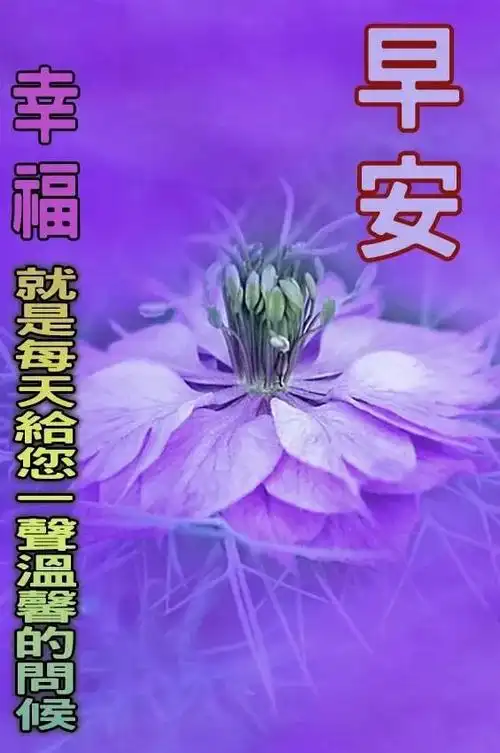 有创意的清晨早安问候祝福语图片带字温馨