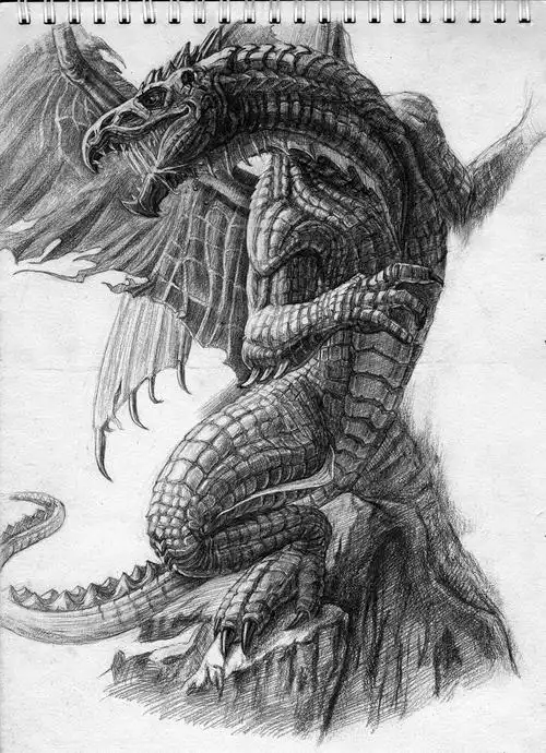 手绘练习:飞龙|插画|创作习作|丨ch9丨 - 原创作品 - 站酷 (zcool)