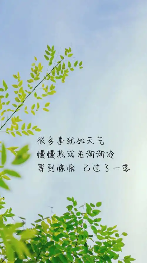 精美带字的图片我深知我留不住你所以我不言不语