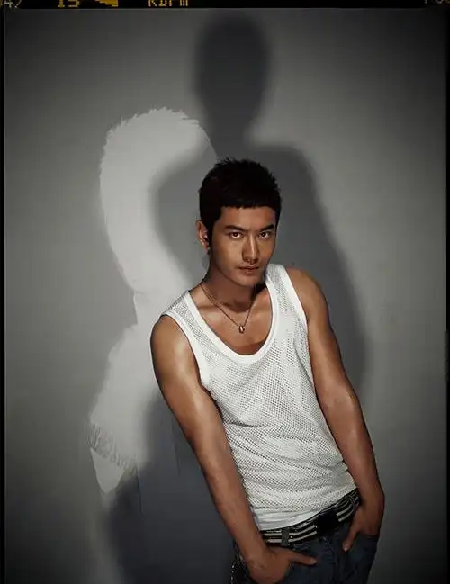 黄晓明个人简介:黄晓明,中国实力派影视剧演员,歌手,商人.