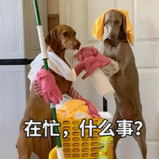 发表情 - fabiaoqing.com