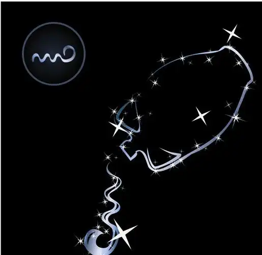 水瓶座图画,十二星座