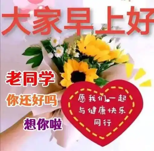 原创8张夏日清晨创意好看老同学早上好图片暖心的老同学早安问候祝福