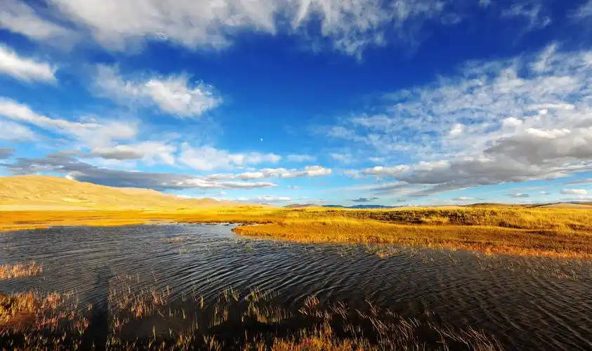 阿里无人区-草原湿地