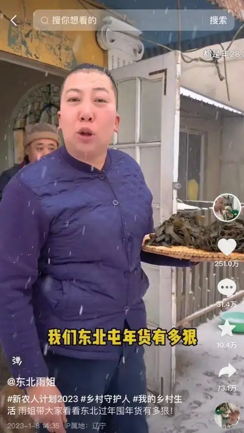 东北雨姐,李子柒的"另一面"|李子柒_新浪新闻