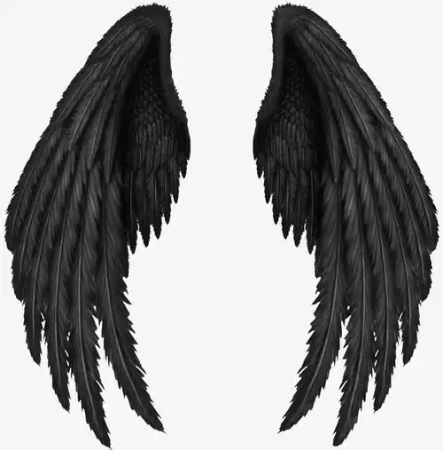 天使翅膀图片素材-精美天使翅膀图片模板设计-卡通天使翅膀图片模板