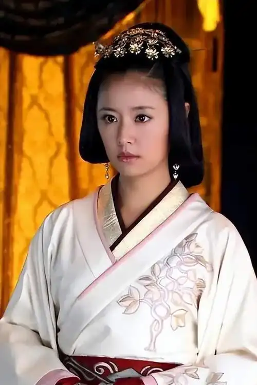 电视剧《华灯初上》,共获得8项提名,主演林心如和杨谨华入围最佳女