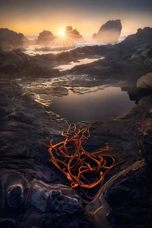 国际风光摄影师大赛获奖作品,每一张都美到堪称壁纸