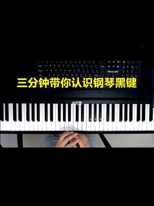 三分钟带你认识钢琴黑键0基础也能懂