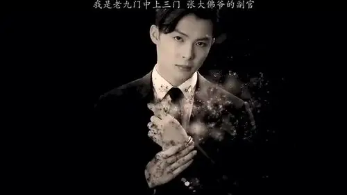 我是老九门中上三门张大佛爷的副官.