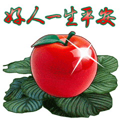 平安夜里祷平安