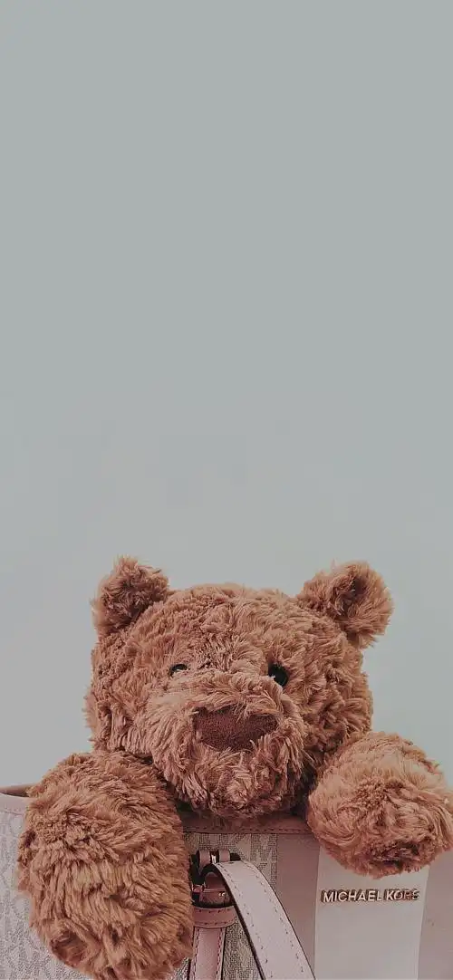 1242_2688竖版 竖屏